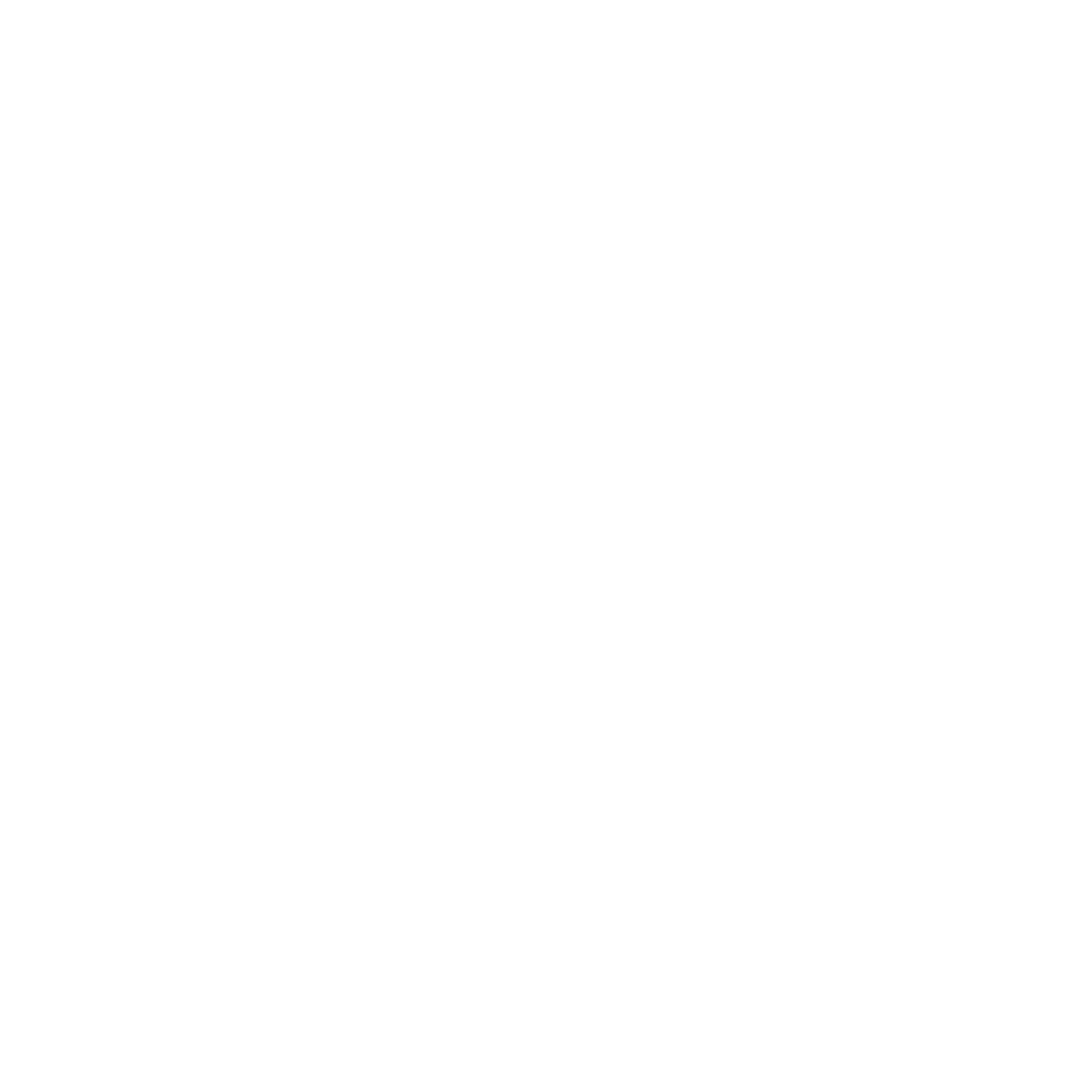 StellaEcho Logo